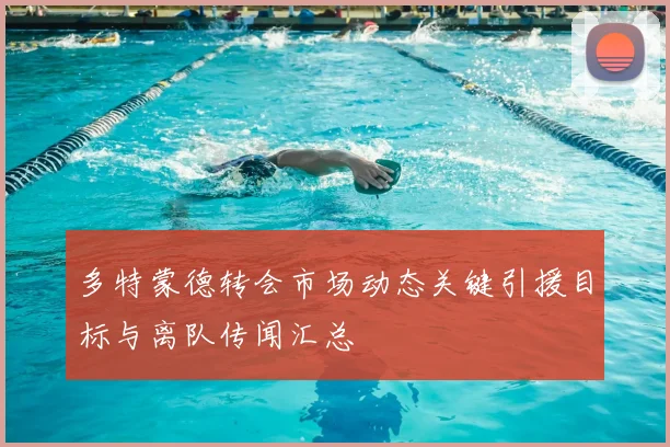 多特蒙德转会市场动态关键引援目标与离队传闻汇总