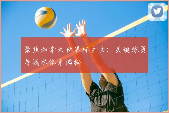 聚焦加拿大世界杯主力：关键球员与战术体系揭秘