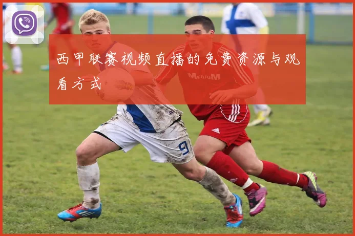 西甲联赛视频直播的免费资源与观看方式