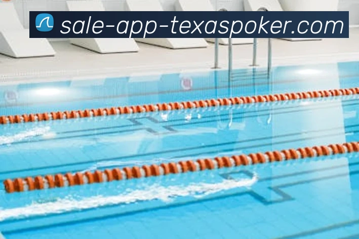 德州扑克APP平台生态图